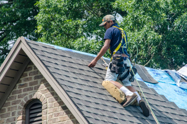 Best Roof Maintenance Services  in Chantilly, VA